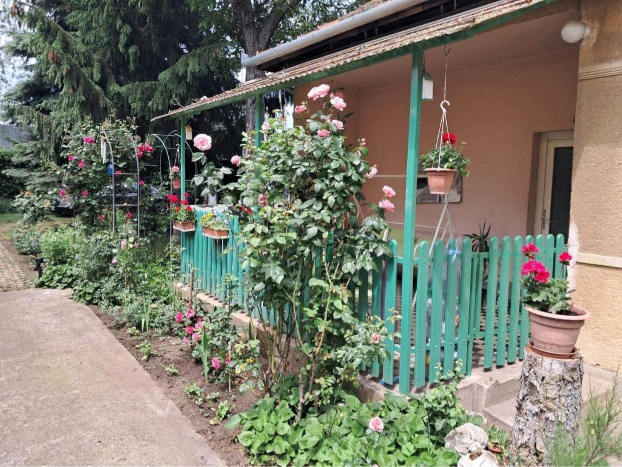 Grany'S Retro Guesthouse Near Budapest Airport Вечеш Екстериор снимка